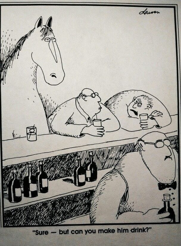 You can take a horse to a bar, but can you make hime drink? -- "The Far  Side" by Gary Larson. | Gary larson cartoons, Far side comics, Far side  cartoons