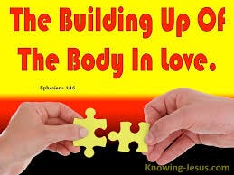 Image result for Eph 4:16 Image result for Eph 4:16
