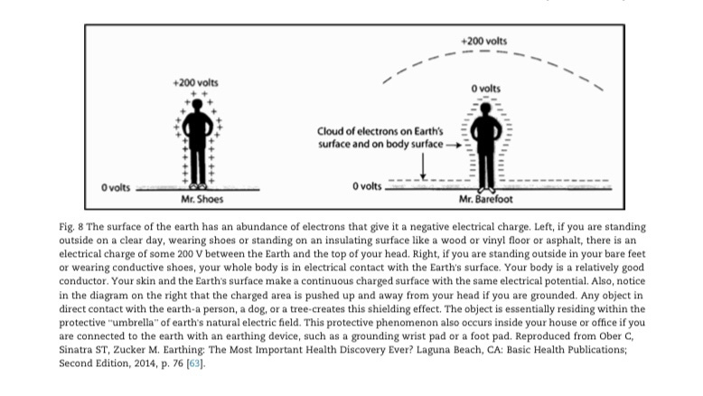 graphic showing how touching the earth gives usable electrons to the body