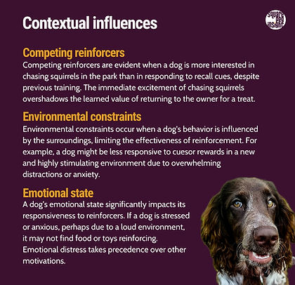 Examples of contextual influences in dog context