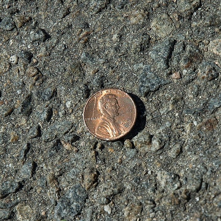 Penny on ground, with Gecko's feet in frame.