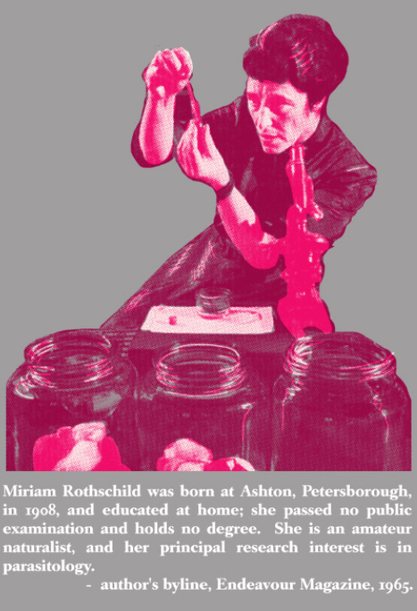 Famous Female Entomologists Part 1: Dame Miriam Rothschild Famous Female Entomologists Part 1: Dame Miriam Rothschild