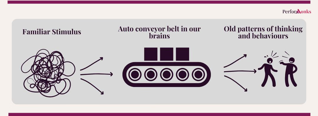 generic stories get auto responses in our brain