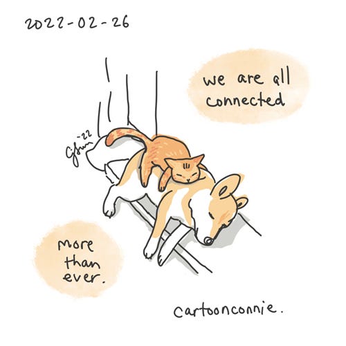 Sketchbook: Cat Dog Connected Single-panel drawing of a tabby cat resting on a shiba inu dog like a cozy pillow. Caption reads, "we are all connected - more than ever." Titled "Cat Dog Connected." Digital sketchbook illustration by Connie Sun, cartoonconnie, 2022.
