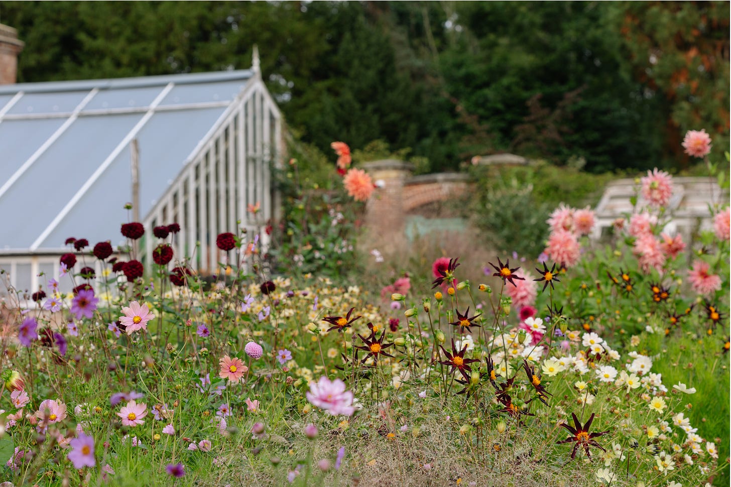 Beautiful flowerbeds and a greenhouse in a walled garden