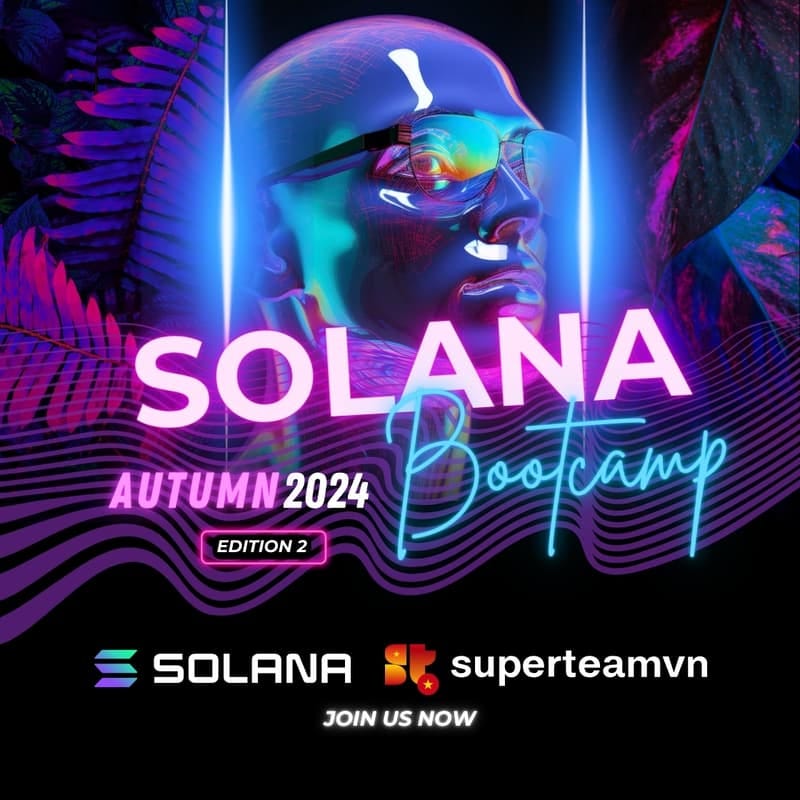 Cover Image for Solana bootcamp: Autumn 2024