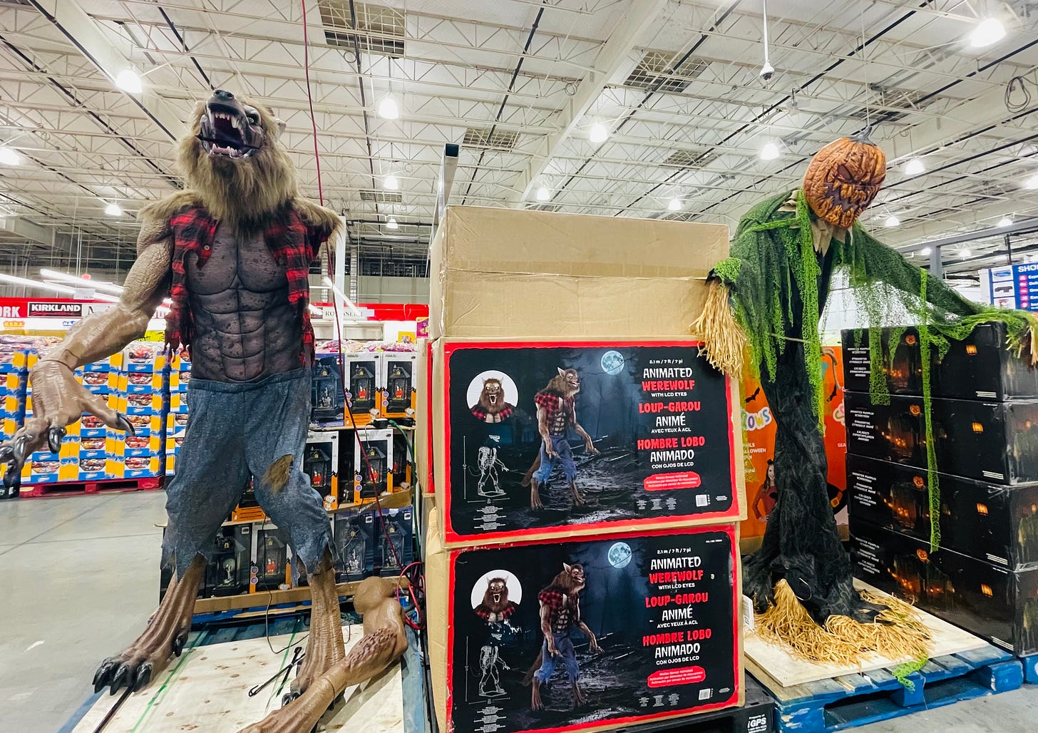 When Fear Decides Your Vote by Bonni