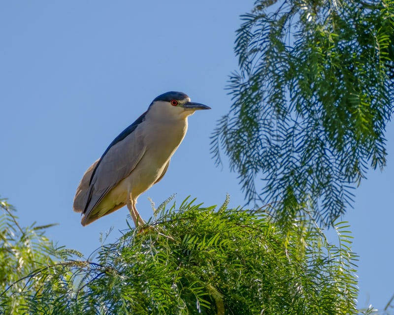 20250421-SGC-78-Edit.jpg