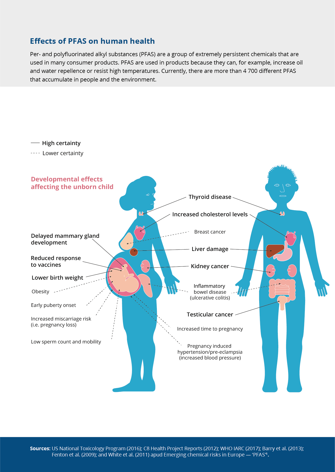 Effects of PFAS on human health — European Environment Agency