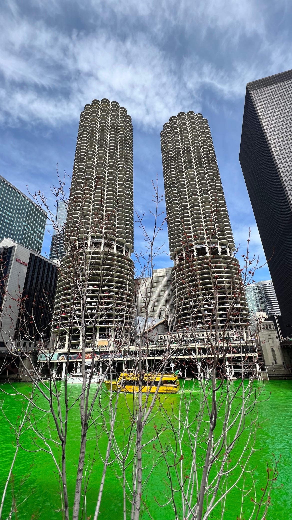 Green Chicago river in front of the corncob towers, with a tree at the bottom half of the image and a water taxi boat in the center