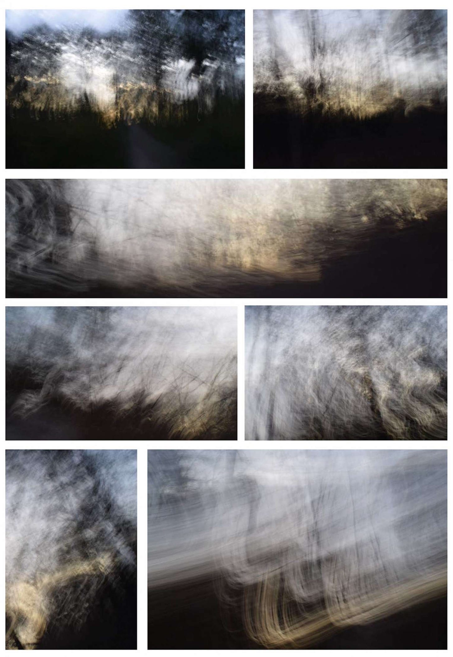 A multipart series of kinesthetic photographs of trees in a forest. Seven images are put together in an irregular grid with white lines that separate them. The images are made with a camera whose lens is held open as the photographer moves, so that all of the images are indistinct with trails, overlays, and other traces of motion.