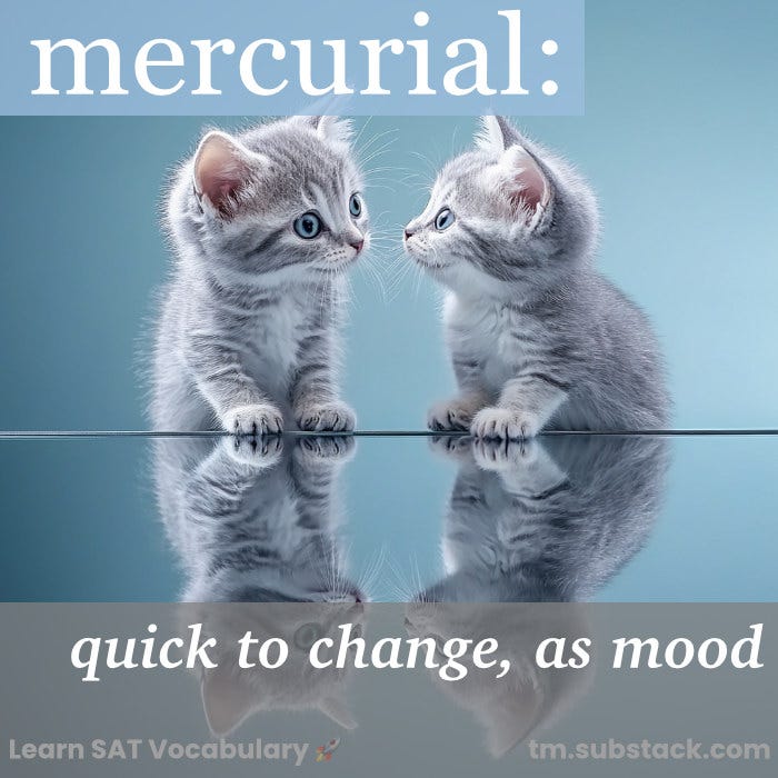 Illustration of two silver kittens with changing expressions in a mirror; used to illustrate the SAT word 'mercurial'.