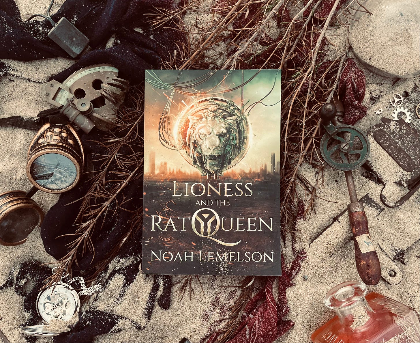 The book The Lioness and The Rat Queen framed by scrap on a sandy background