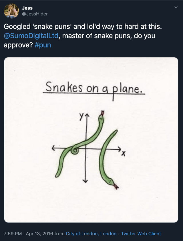 Snakes on a Plane : r/puns