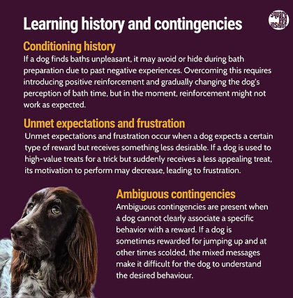 Examples of learning history in dog context