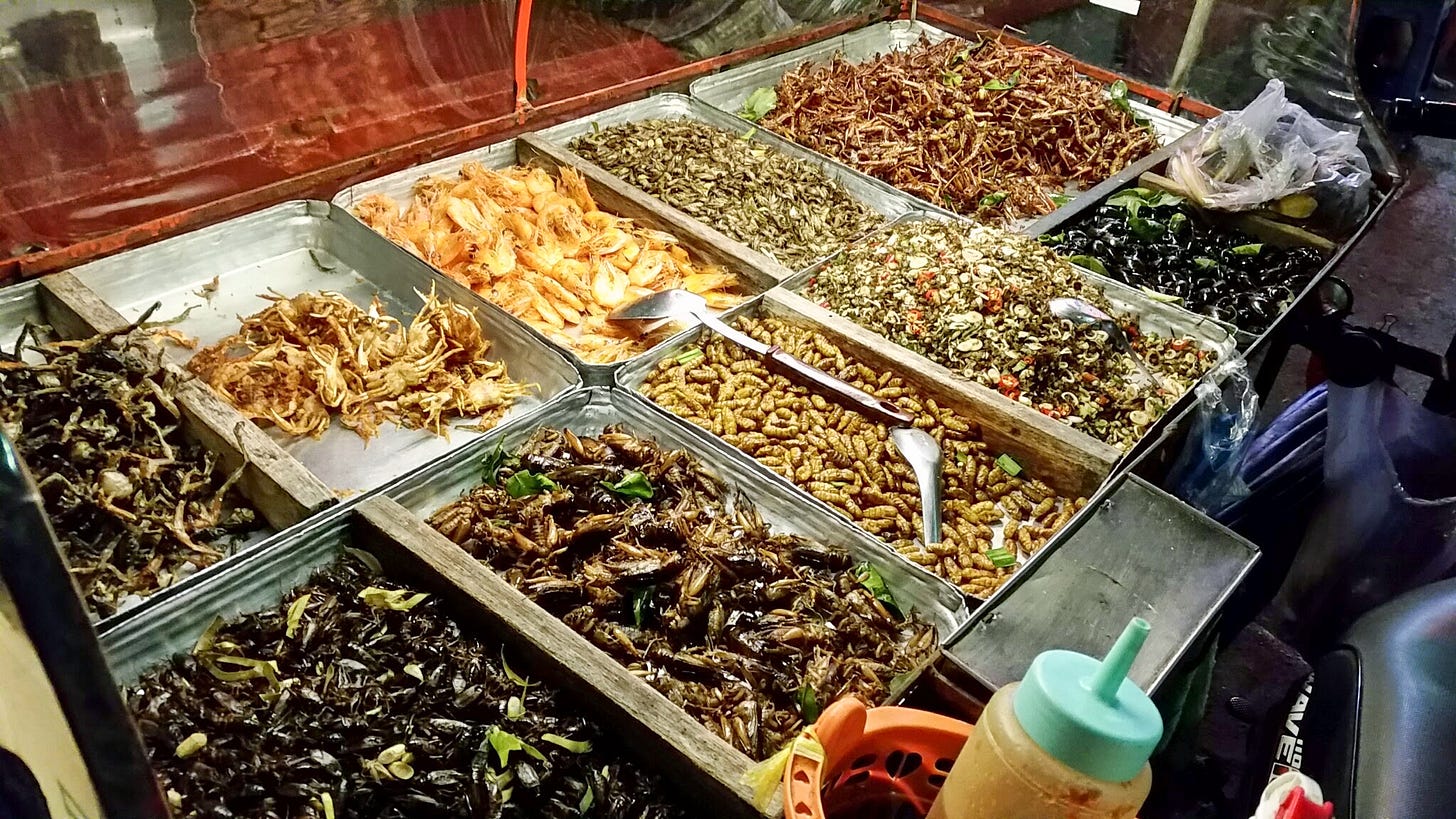 Street Food No More: Bug Snacks Move To Store Shelves In Thailand : The  Salt : NPR