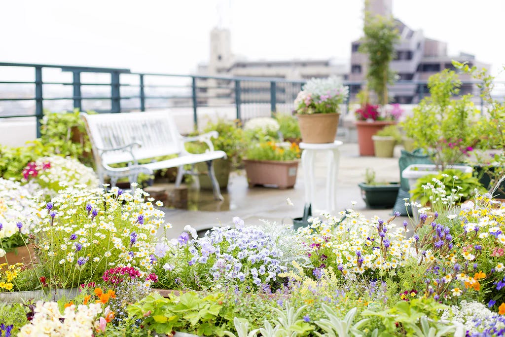 rooftop_deck_darker_5673d387-49de-4d0c-908e-a2dcf16c7754_1024x1024.jpg.webp
