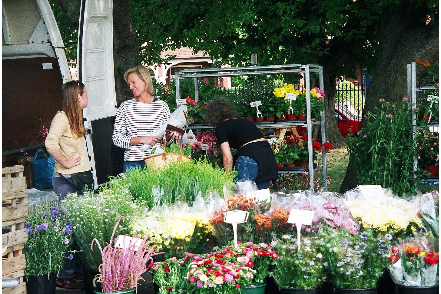 Harding Nurseries flowers, Wimbledon Farmers Market, 2001