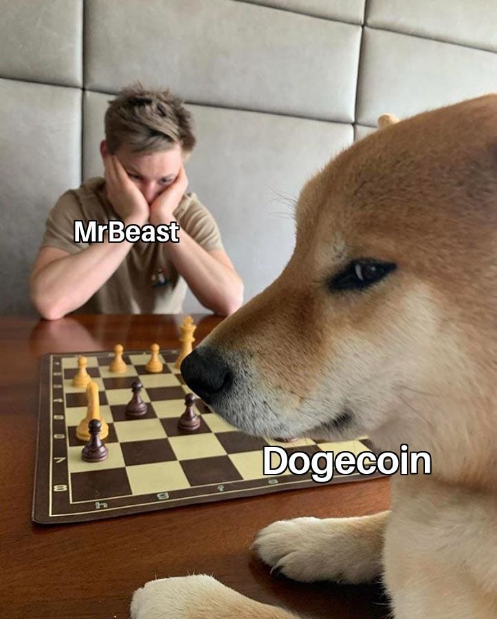 Dogecoin on X: "@MrBeast https://t.co/CR8jJKVzzx" / X