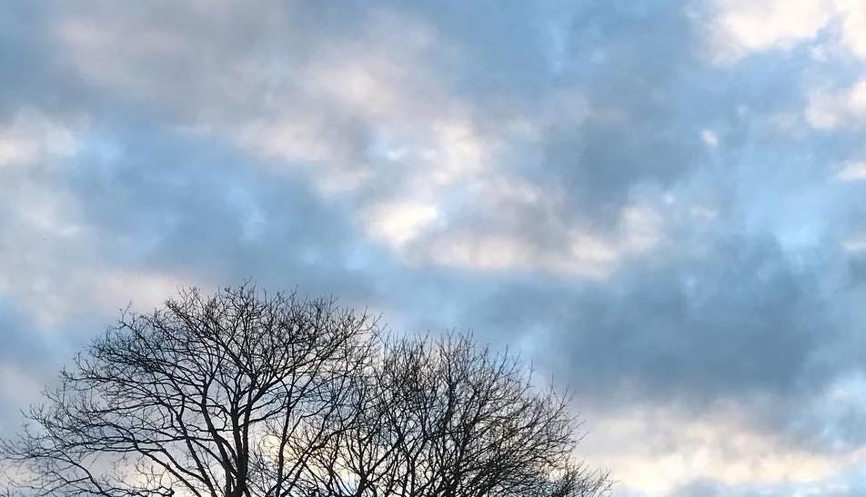 blue sky, white clouds, bare branches