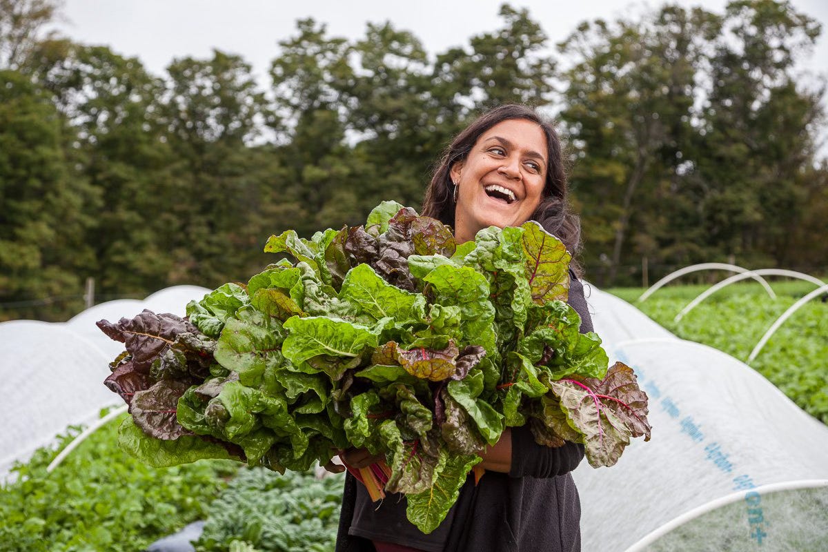 Farming is an Act of Social Justice at Woven Roots Farms (Civil Eats).