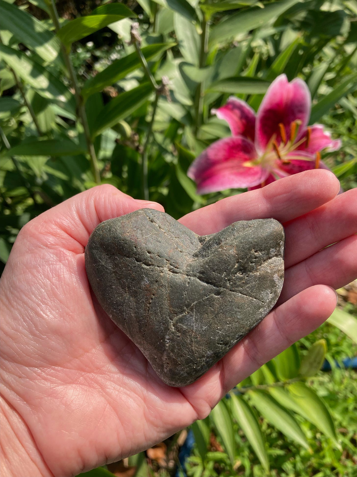 photo of a rock shaped like a heart