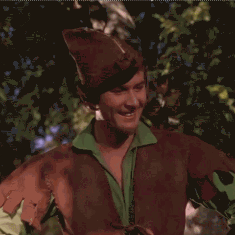 Errol Flynn as Robin Hood, in his traditional green and brown outfit, turns his head and smiles, against a leafy background - an animated gif