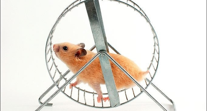 Escaping the hamster wheel