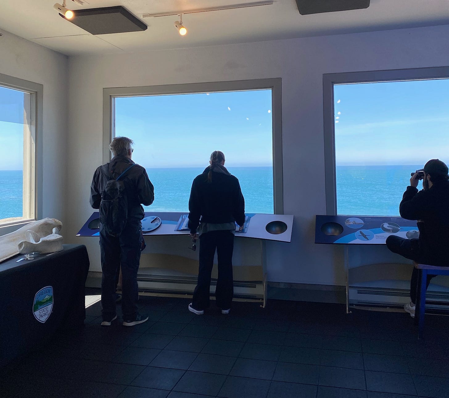 inside the Whale Watching Center in Depoe Bay