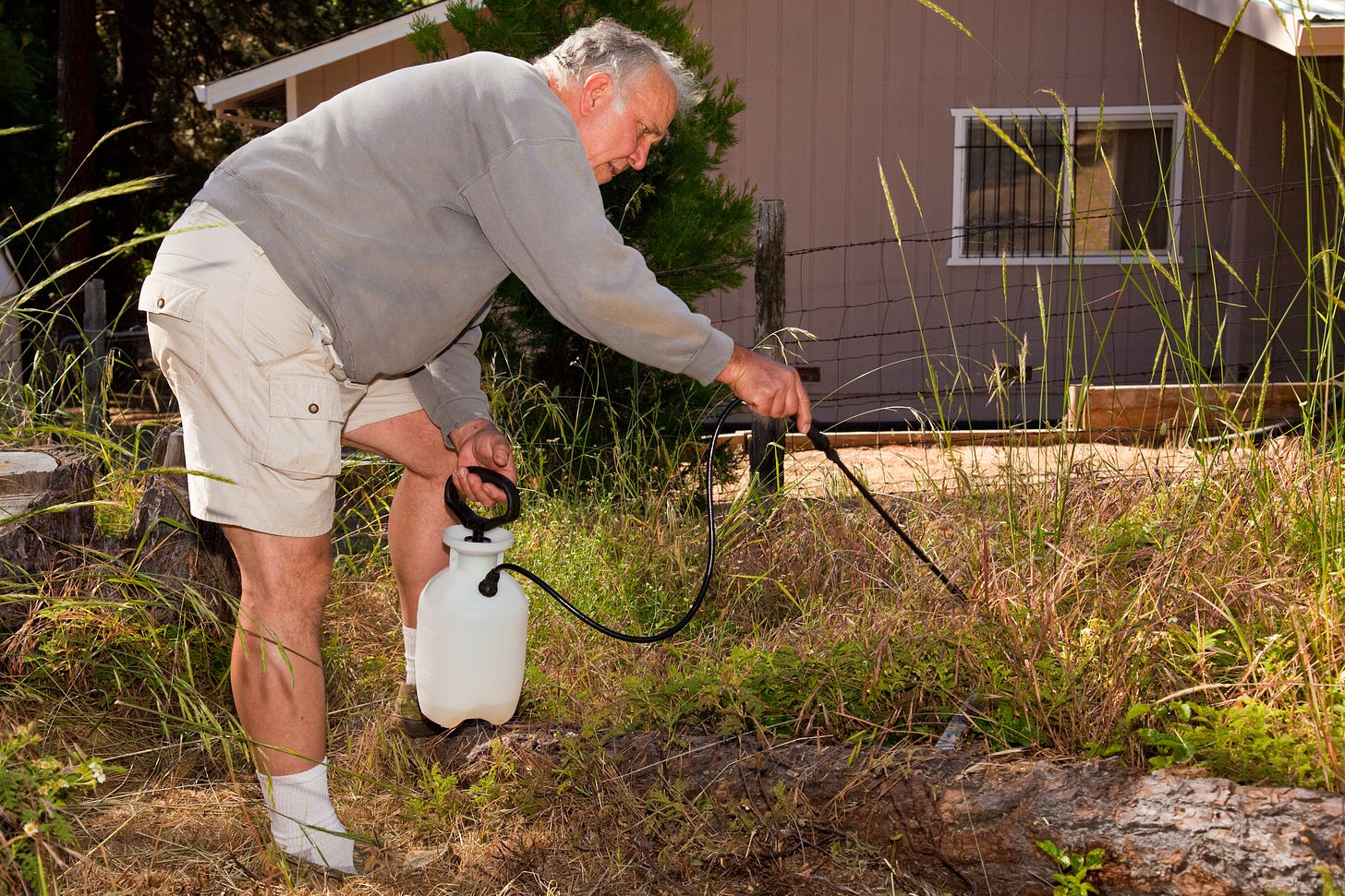 man in shorts with spray can, hose and sprayer applying liquid to weeds/plants