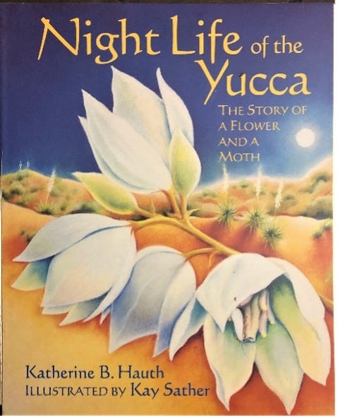 Night Life of the Yucca book cover