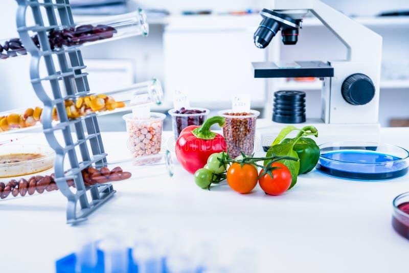 Chemical Laboratory of the Food Supply . Food in Laboratory, Dna Modify ...