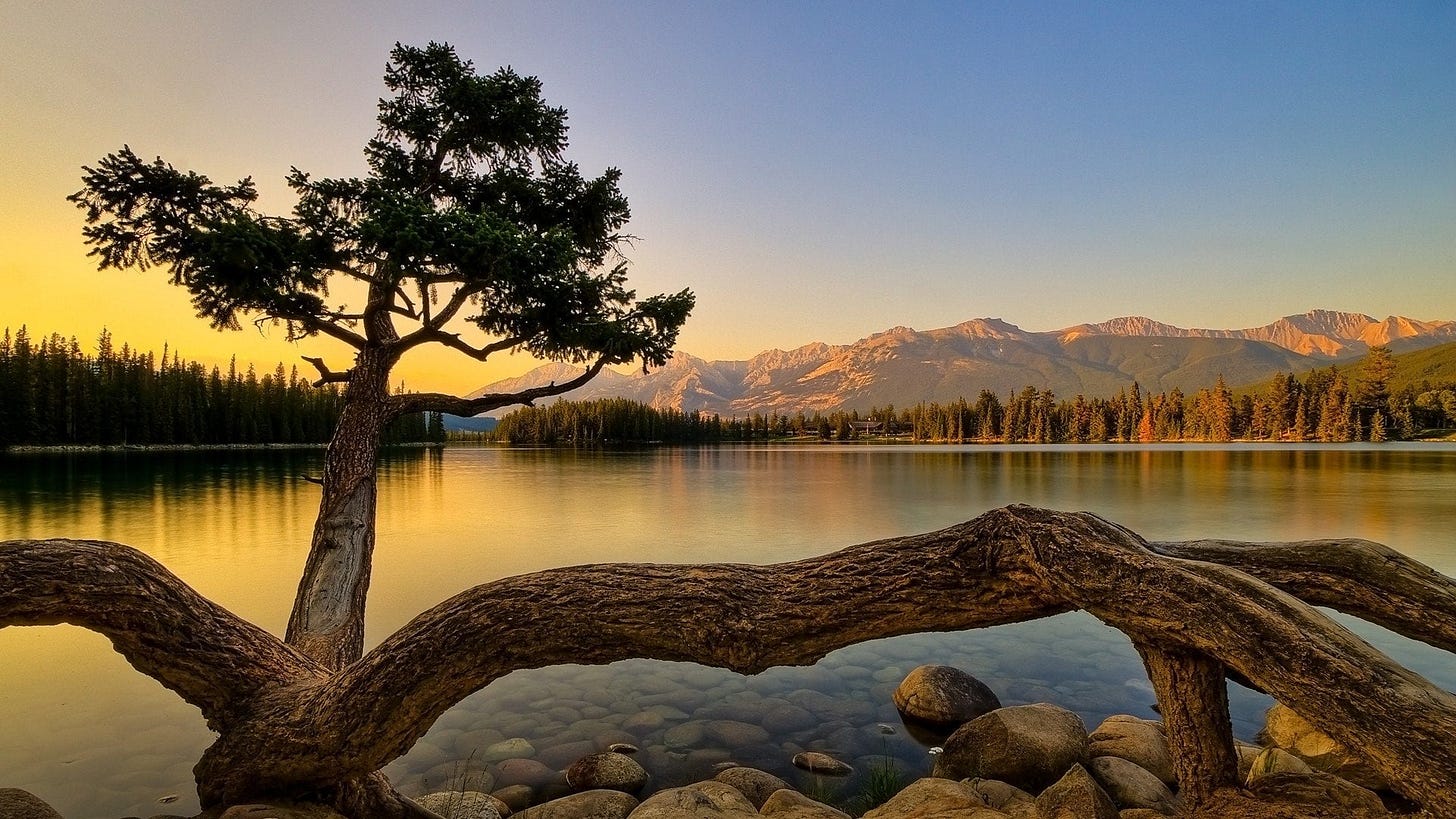 Show me your most serene, awe inspiring, mind soothing nature wallpapers.  I'll start. : r/wallpaper