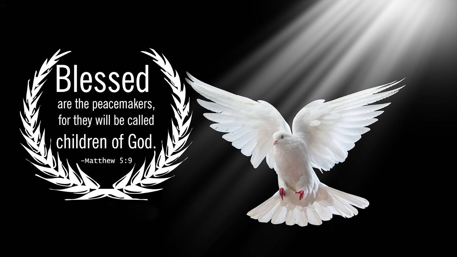 Blessed Are the Peacemakers ~ E-learning