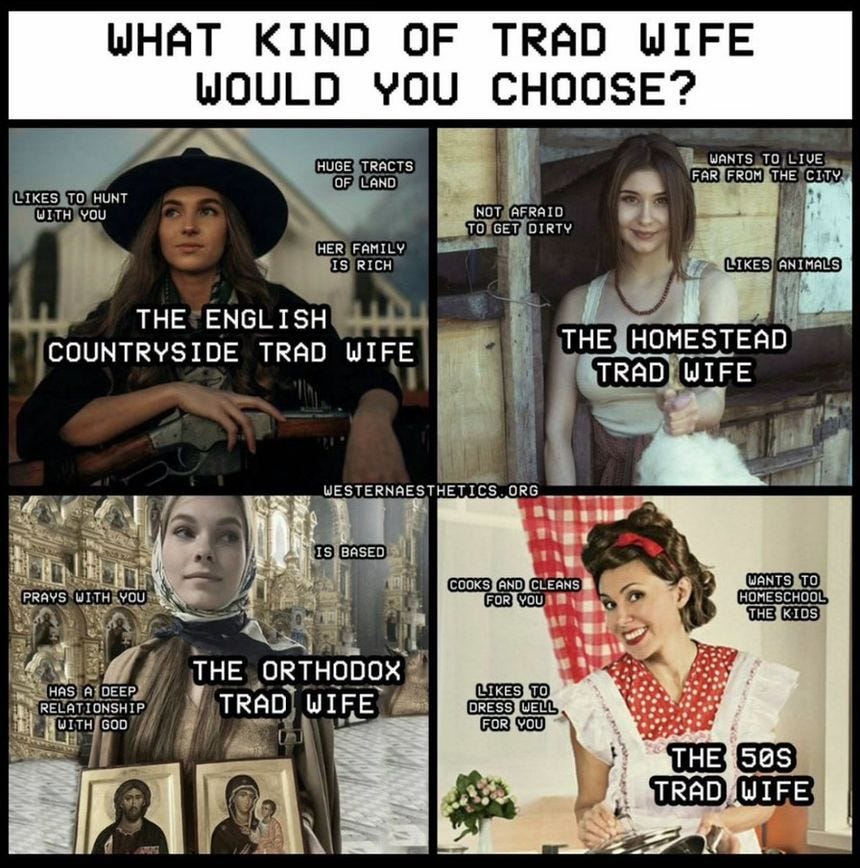 Memedroid was not built to be a forum, but I'm genuinely interested in what people mean by "tradwife"