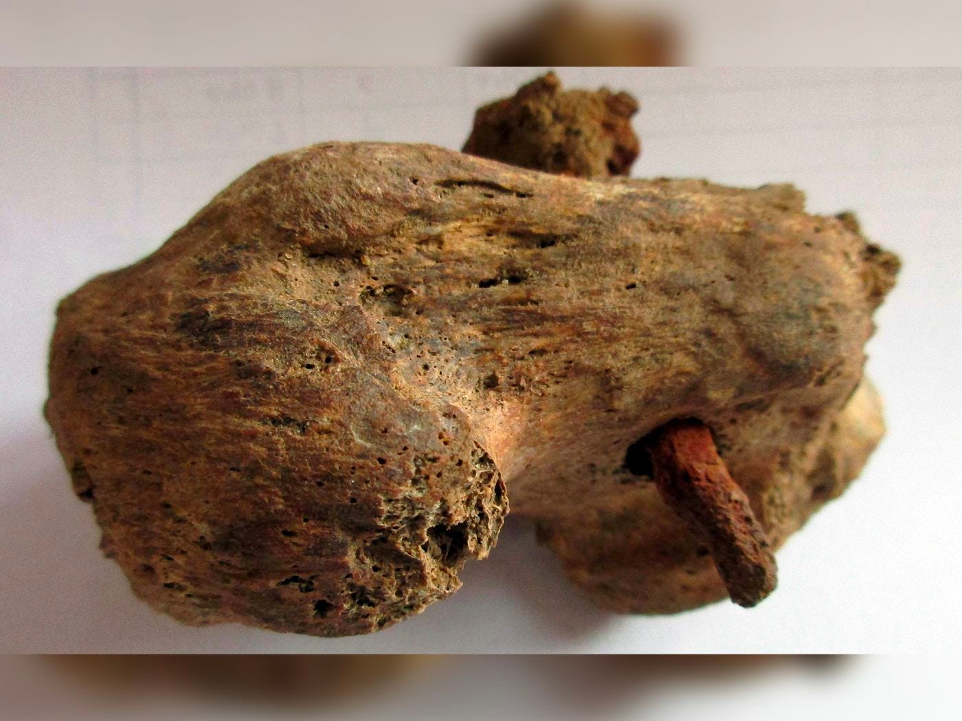 Rare Physical Evidence of Roman Crucifixion Found in Britain | Smart News|  Smithsonian Magazine
