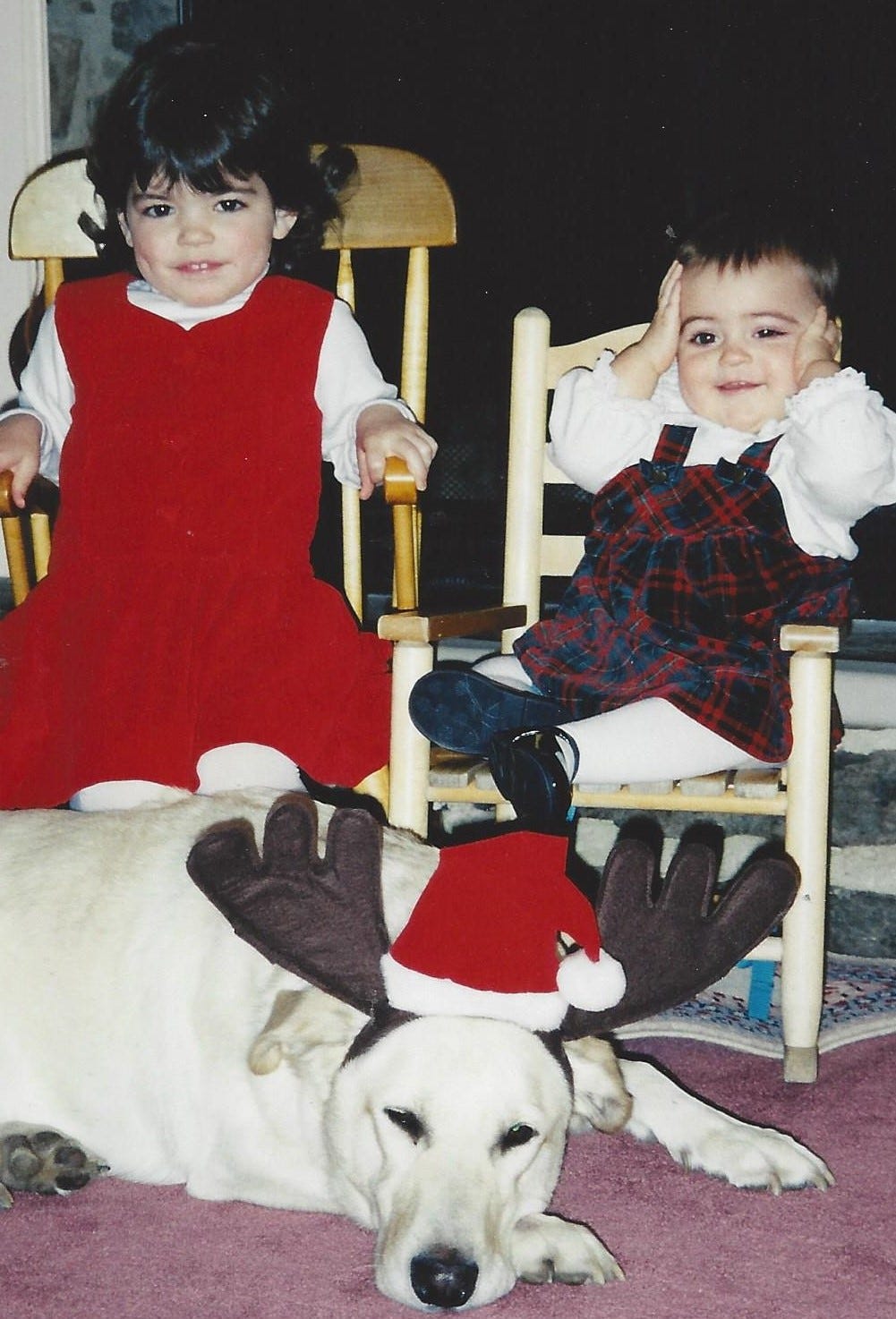 Two toddler girls in Christmas dresses are sitting in little rocking chairs, with a yellow Labrador retriever with reindeer antlers laying in front of them. The older girl looks unhappy and the younger girl has her hands on her face and looks perplexedlittler on