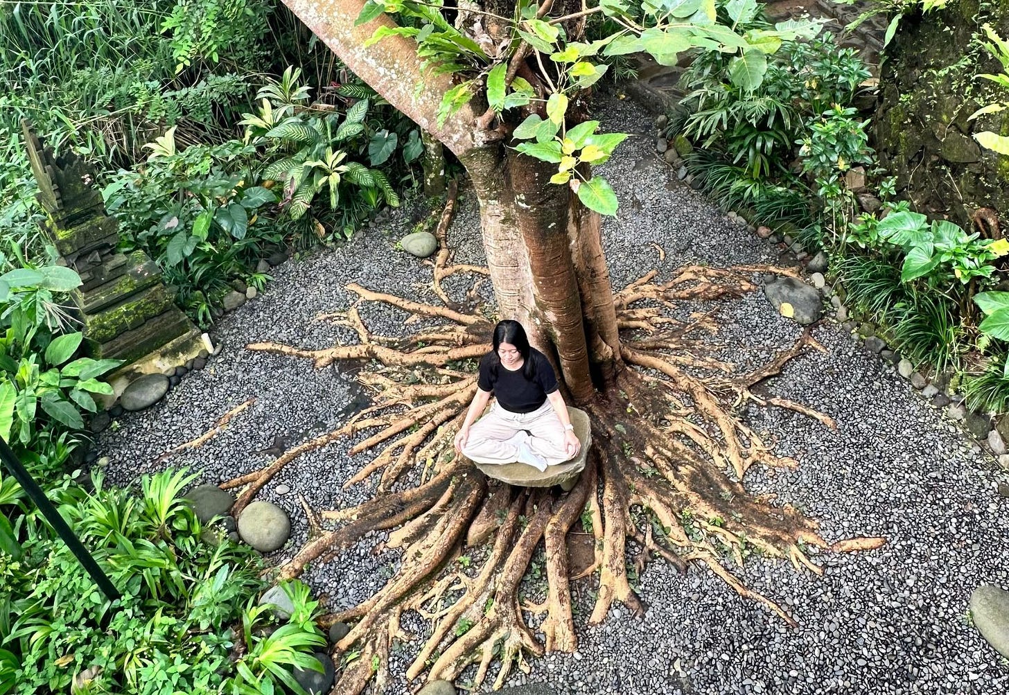 Light On Life: Autumn Awakening - A 5-Day Mindfulness Retreat in Ubud, Bali with Erin Lee