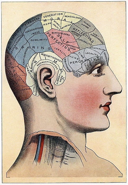 Phrenology chart, showing presumed areas of activity of the brain, c1920