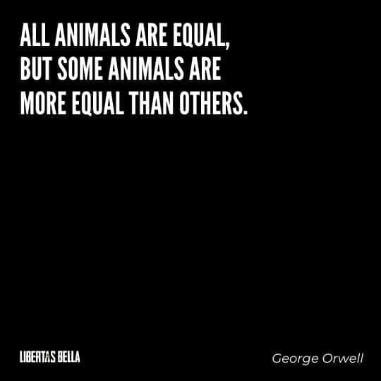 1984 Quotes - "All animals are equal, but some animals are more equal than others."