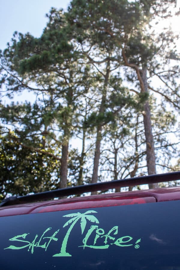 A close-up photo of a car decorated with a Salt Life decal featuring a palm tree.
