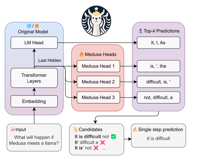 The Medusa architecture: the multiple prediction heads are attached to the last hidden layer of the base LLM. The head at the ith position predicts the next ith token given the output from the last hidden layer as input to it. Each head produces multiple predictions out of which the top-k are selected, resulting in a tree of possible continuations that need to be verified against the base LLM’s probability distribution. Source of the image: Medusa: Simple LLM Inference Acceleration Framework with Multiple Decoding Heads