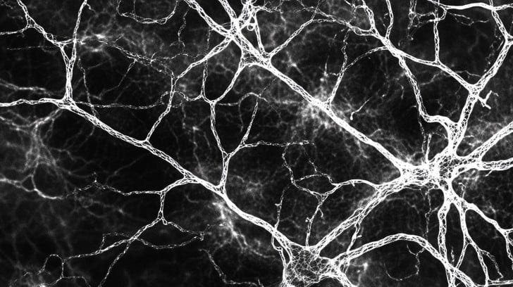 Free Intricate network pattern Image | Download at StockCake
