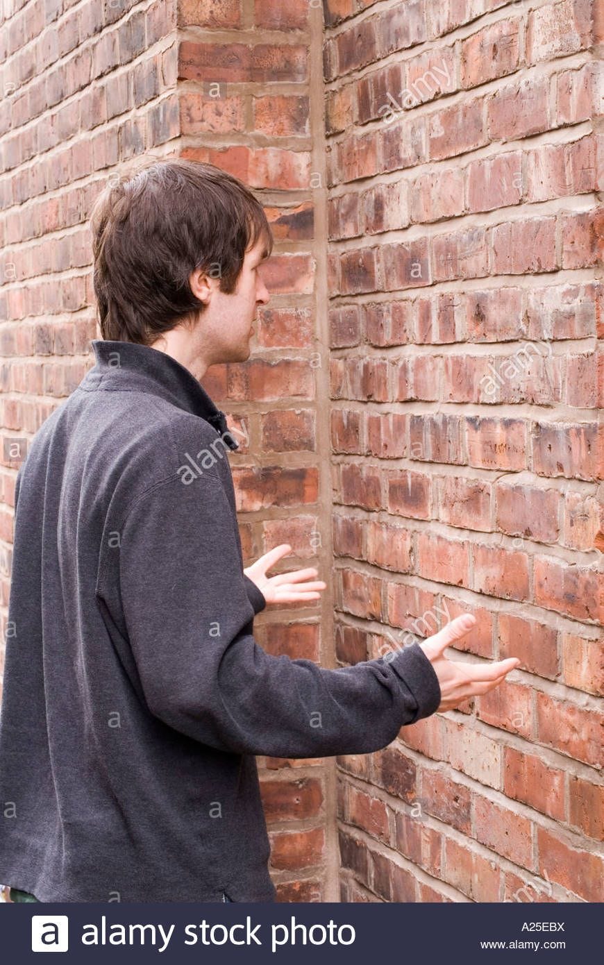 Image result for talking to a brick wall | Brick wall, Brick, You lost me