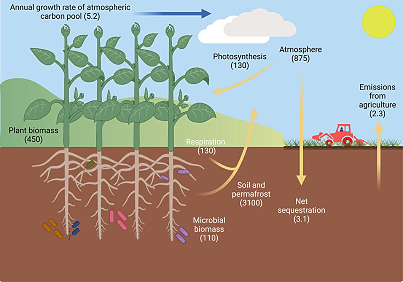 We could sequester CO2 by “re-greening” arid lands, plant scientists say