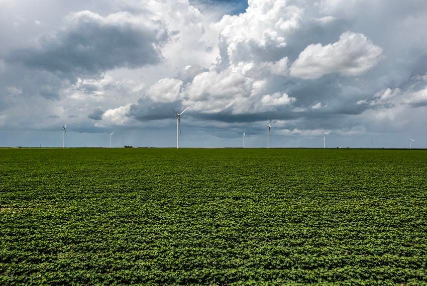 Energy-producing wind turbines cover hundreds of acres of farmland in Willacy County in Texas' Rio Grande Valley.
