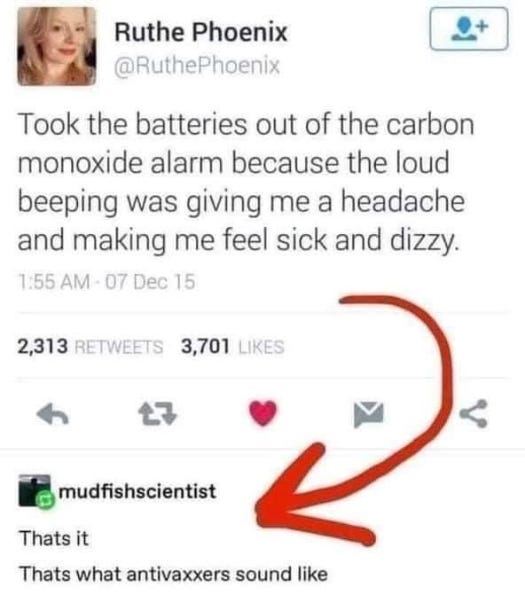 A (parody) tweet from "Ruthe Phoenix":

Took the batteries out of the carbon monoxide alarm because the loud beeping was giving me a headache and making me feel sick and dizzy.

"mudfishscientist" responded:

Thats it
Thats what antivaxxers sound like

(Errors in original text.)