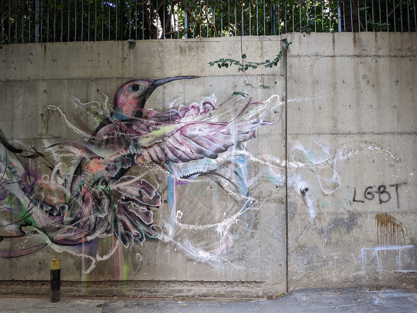 Street art of a colorful hummingbird, with the letters "LGBT" written beside the bird.