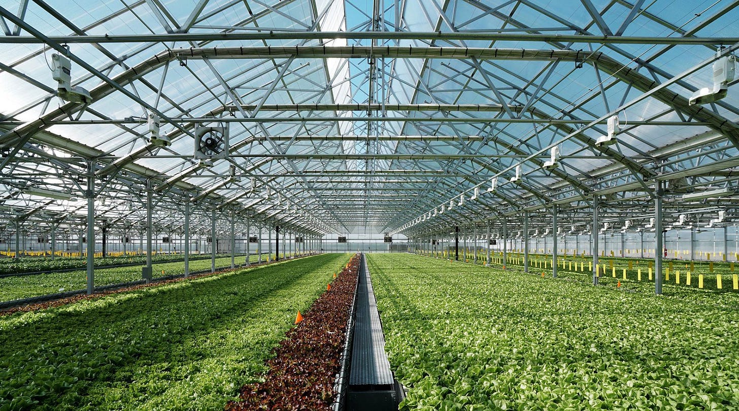 Whole Foods #1 Food Trend for 2022 is Ultraurban Farming - Gotham Greens