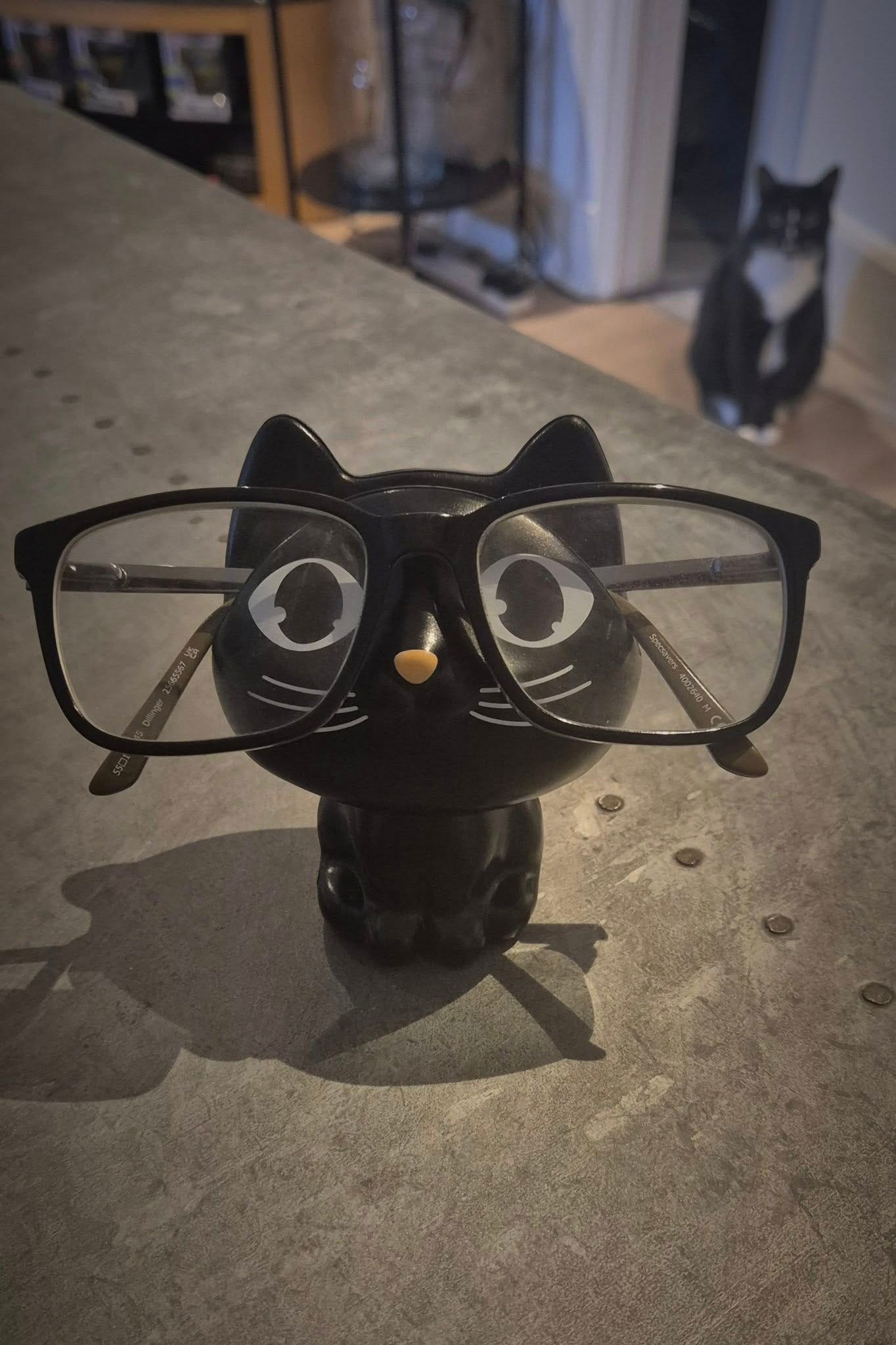 May be an image of cat and glasses